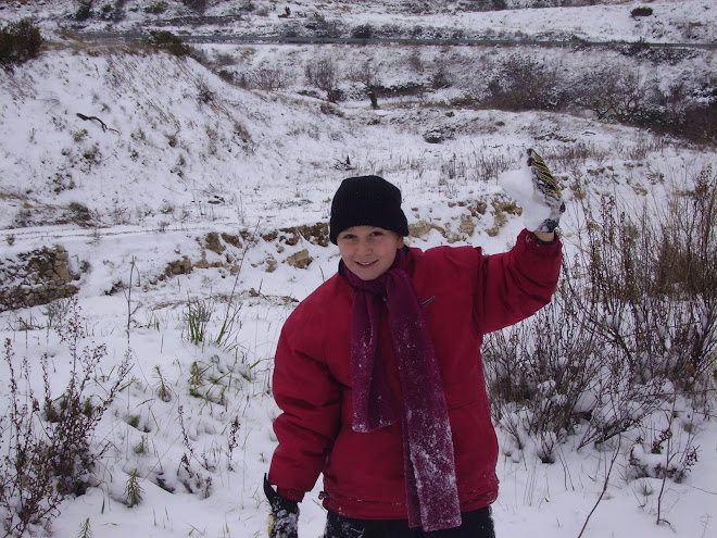 a la neu, blanca neu