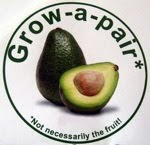The official G-a-p* Blog