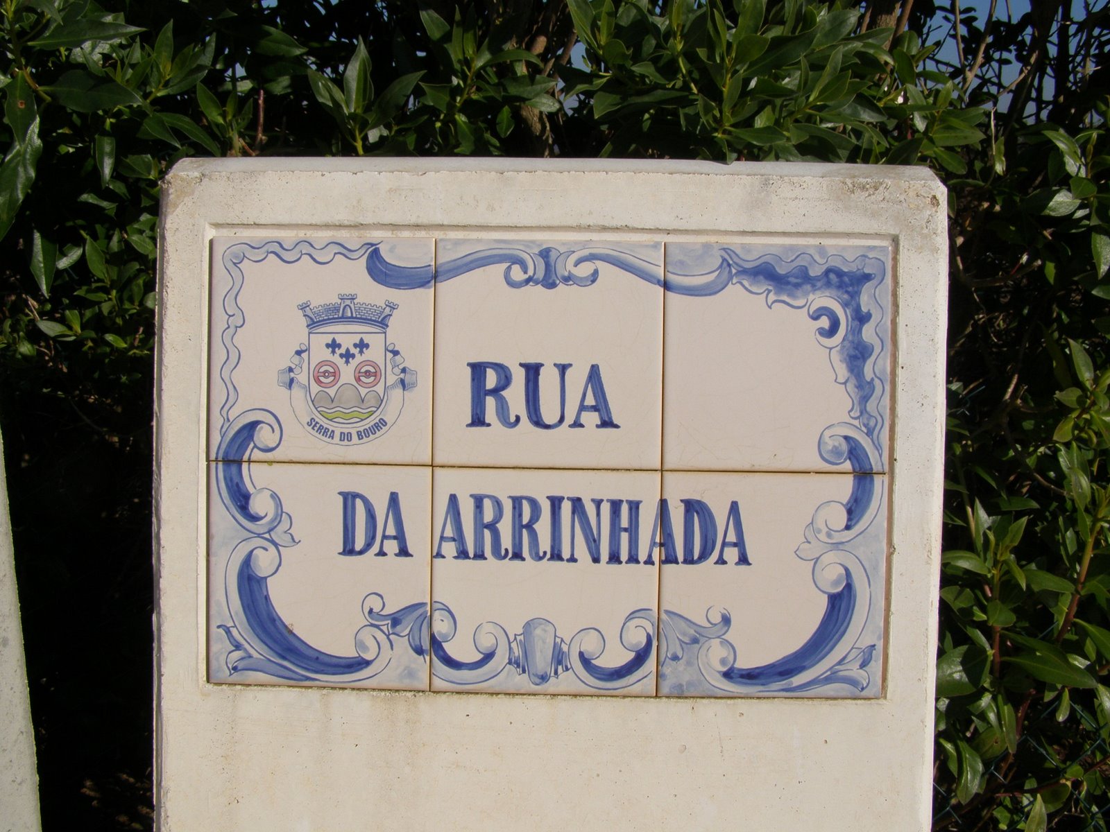 [SMPorto+24Nov2007+(60).JPG]