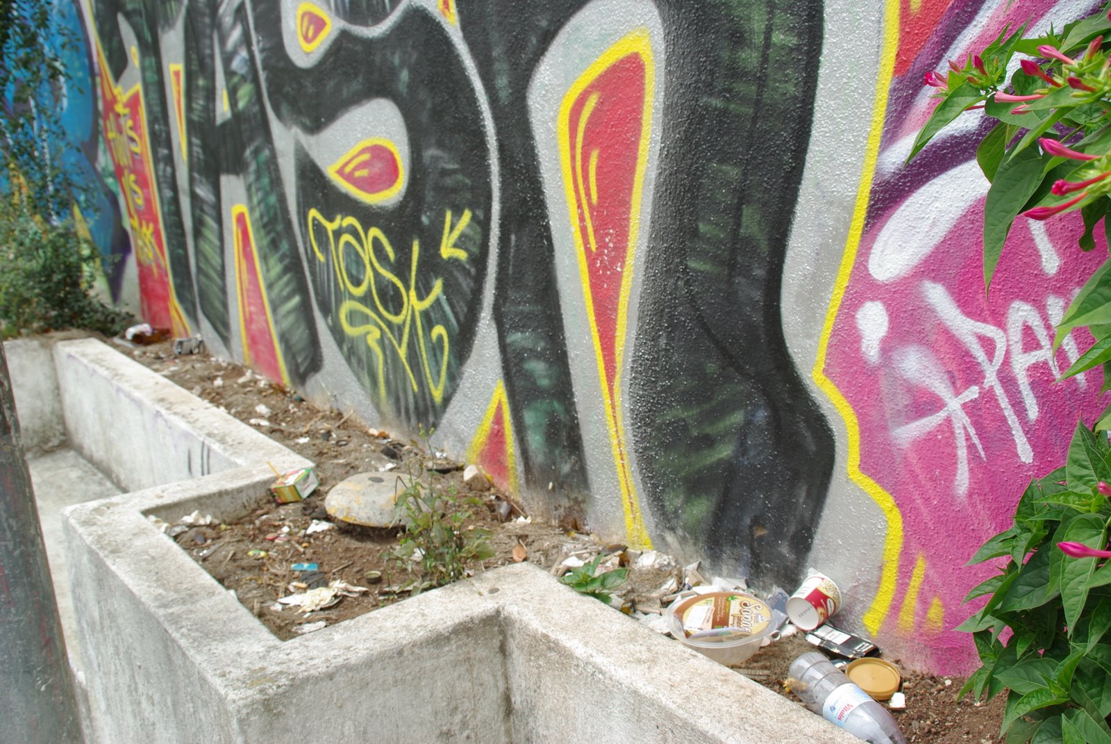[IMGP0887.JPG]