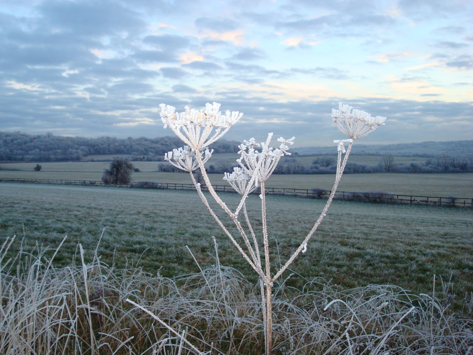 tedsmum Winter on the Ridgeway