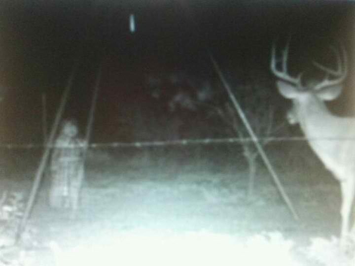 Real Evidence Of Ghost