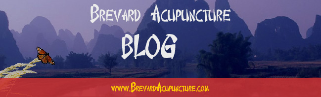 Dr Bo - Brevard Acupuncture