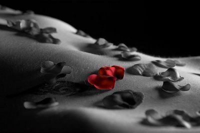 [untitled.bmp]
