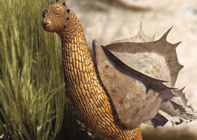 lesma futuro evolução animais