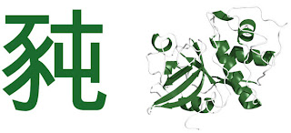 Proteina Caracter Chines protein chinese character