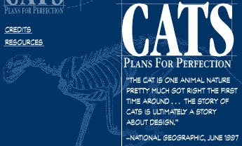 cats-design