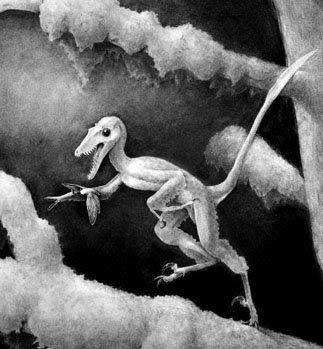 Hesperonychus elizabethae