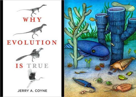 [why-evolution-is-true-coyne-cambrian-explosion.jpg]
