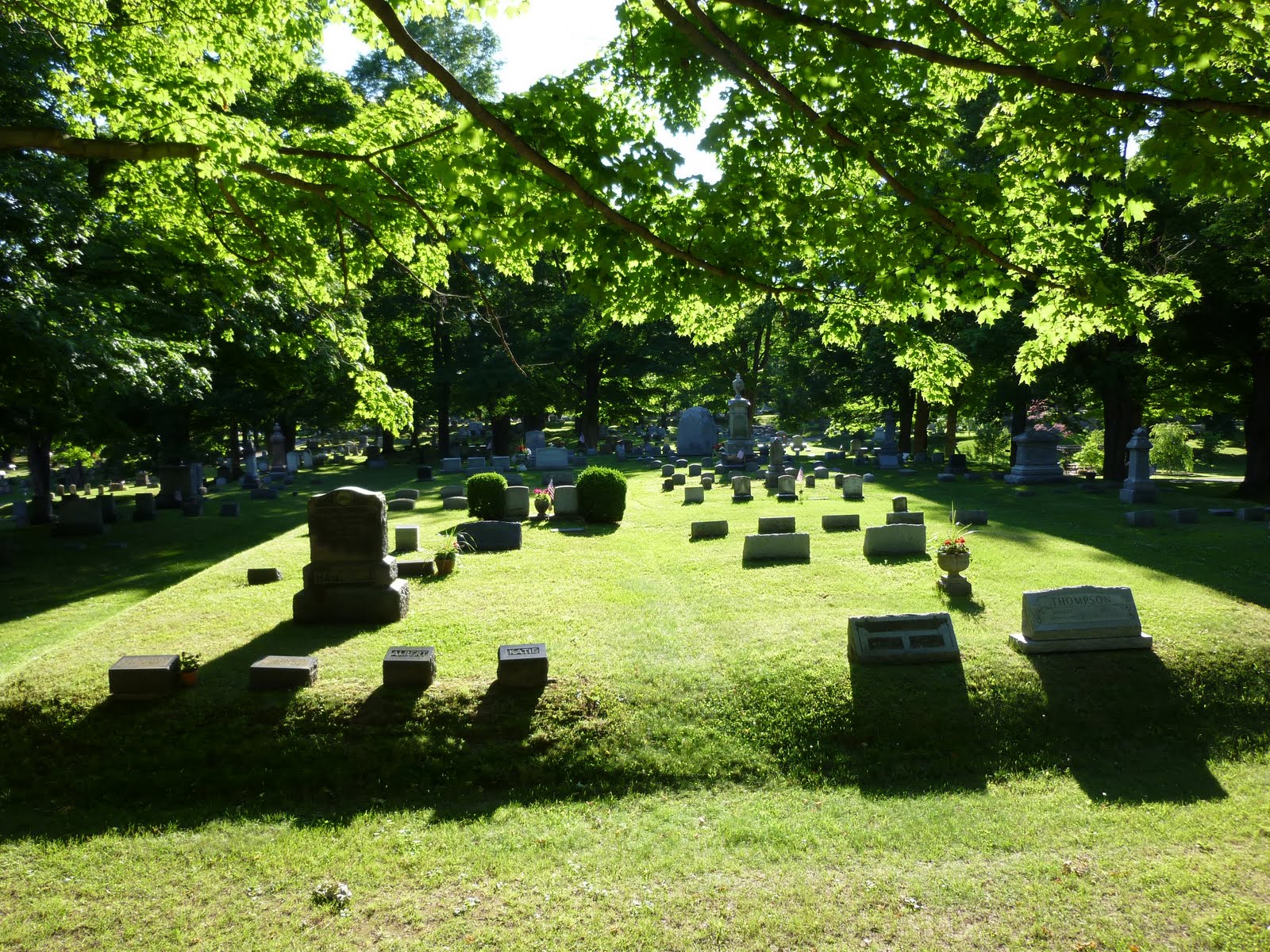 The Unexamined Life Mount Albion Cemetery, Orleans County, NY