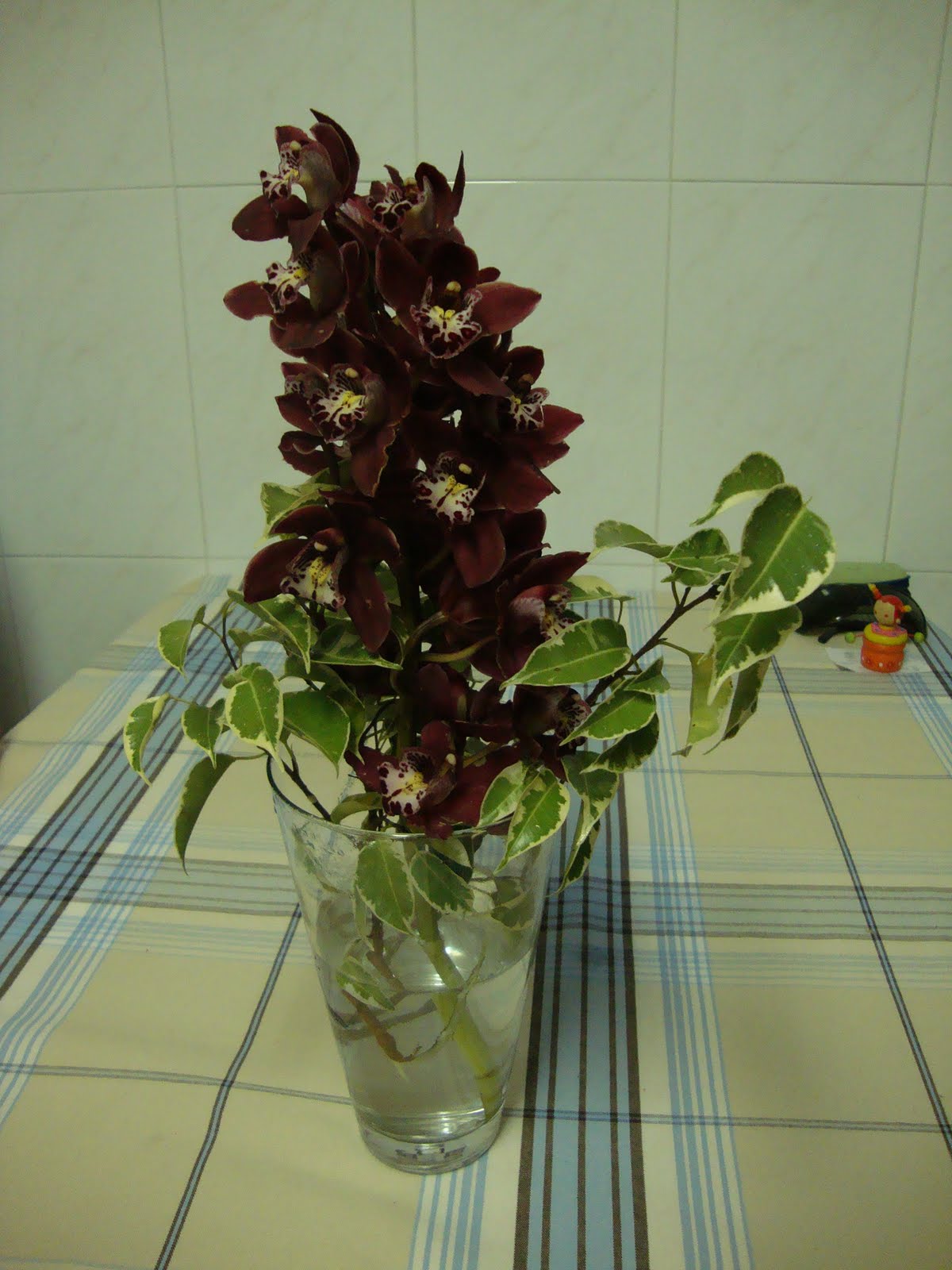 [DSC01667.JPG]