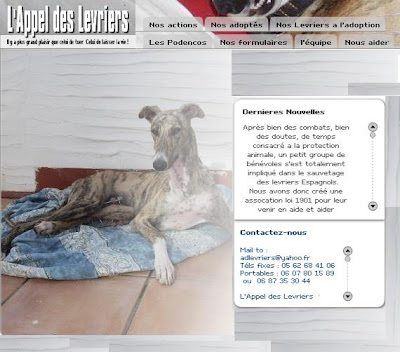 rencontres serieuses gironde