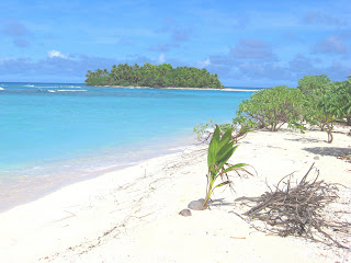 Kayangel Palau Motu Beach