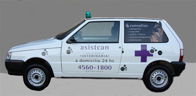mi veterinario en casa
