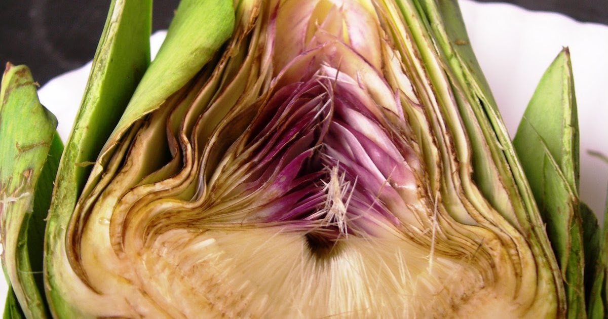 The Phytophactor Artichoke fruit or vegetable?