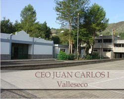 CEO Juan Carlos I (Valleseco)