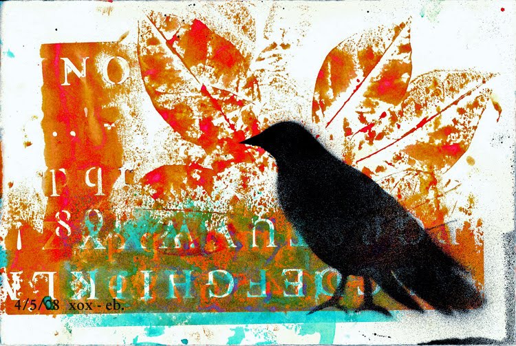 [sun_bird_2_edited1.jpg]