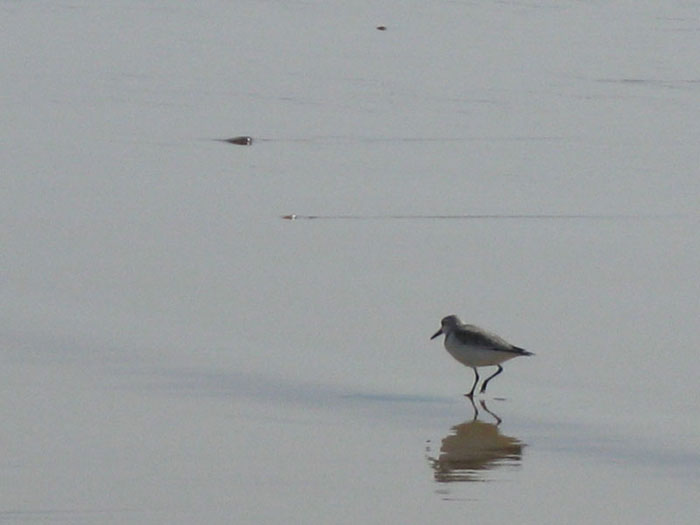 [fotodependente1.jpg]