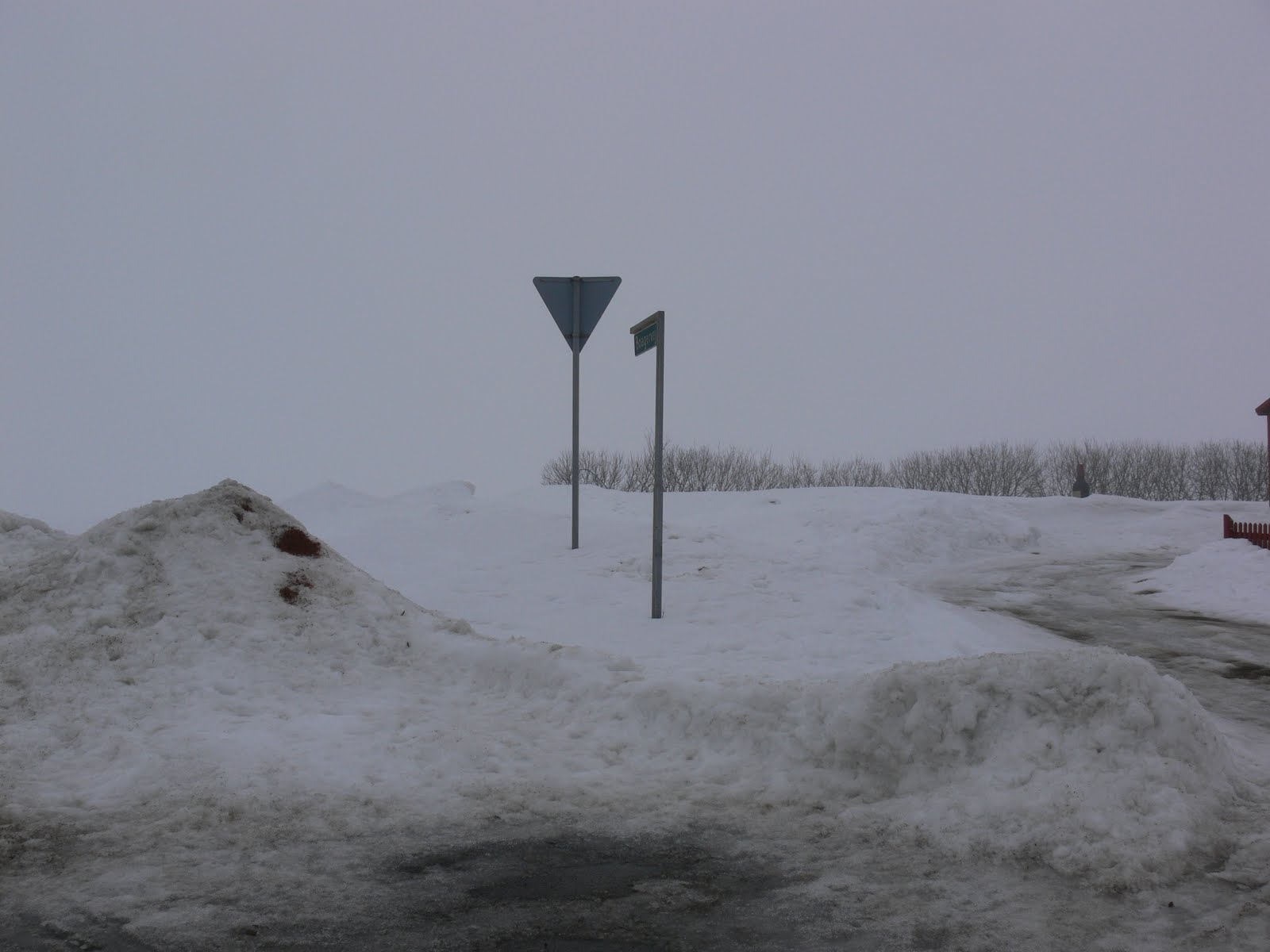 [P1370743.JPG]