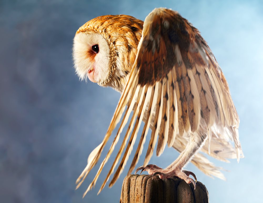 [securedownload-4.jpeg]