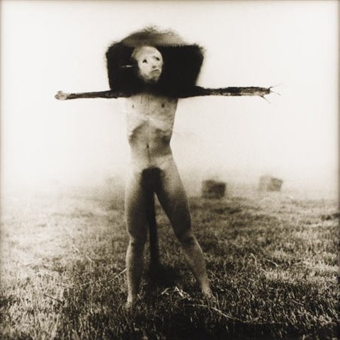 [picture-1.asp.jpeg]