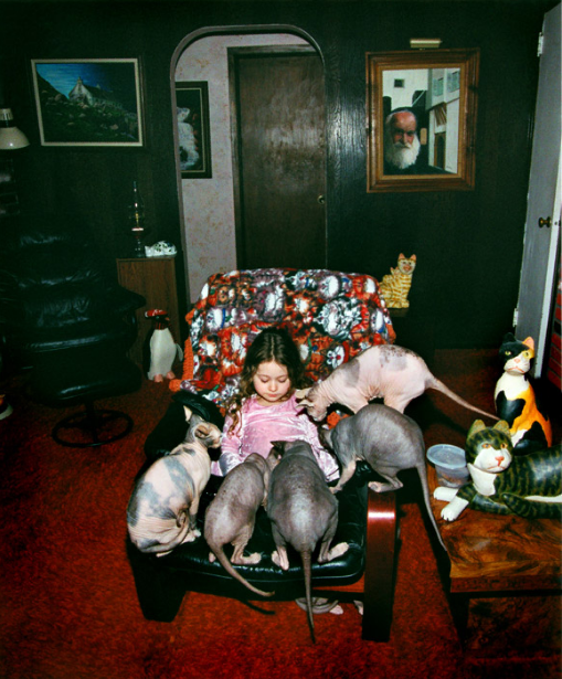 [Picture+15+19-59-05.png]