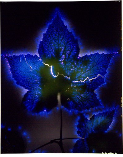 [thumbnails-4.php.jpeg]