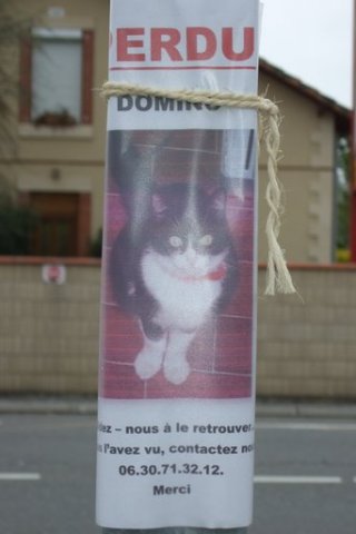 [phoca_thumb_l_5.jpg]