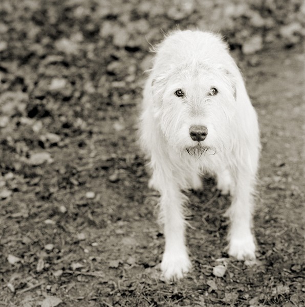 [121286_extralarge.jpg]