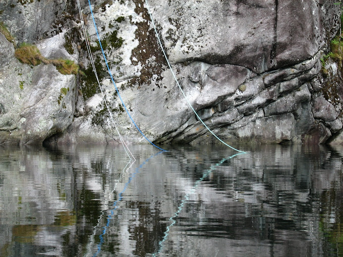 Sitjenot Lines Dangling in the Fjord