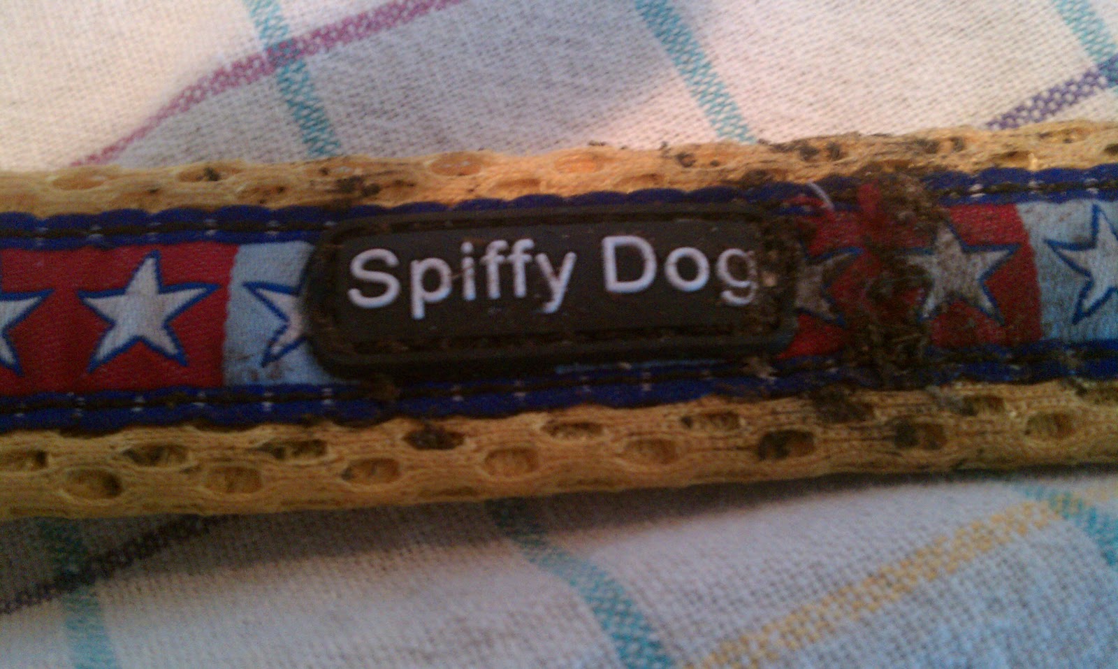 Can Dog Collars Be Put In Dryer Can Dog Collars Be Put In Dryer