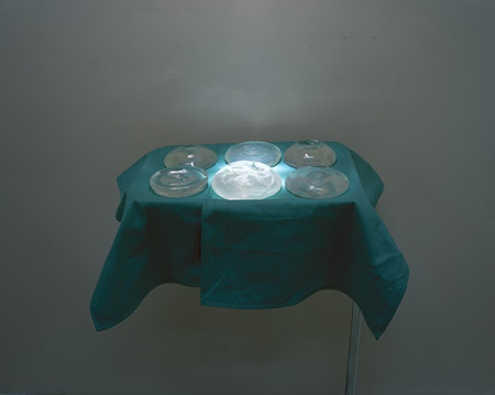 [cara-phillips-2.jpg]