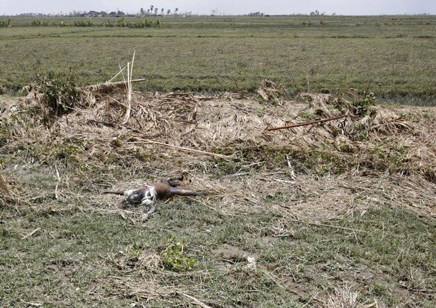 [Labutta+man+Reuters+today+2.jpg]