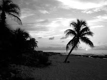 Cozumel 2008