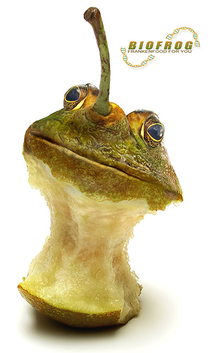 Frog Dna