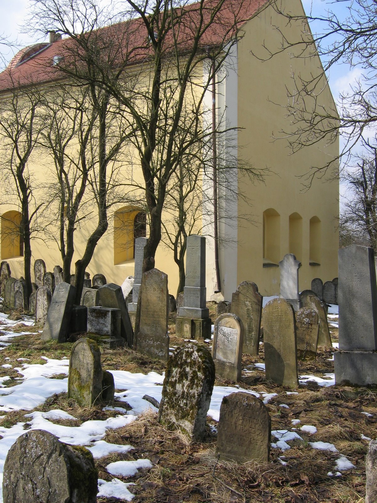 [IMG_6886.JPG]