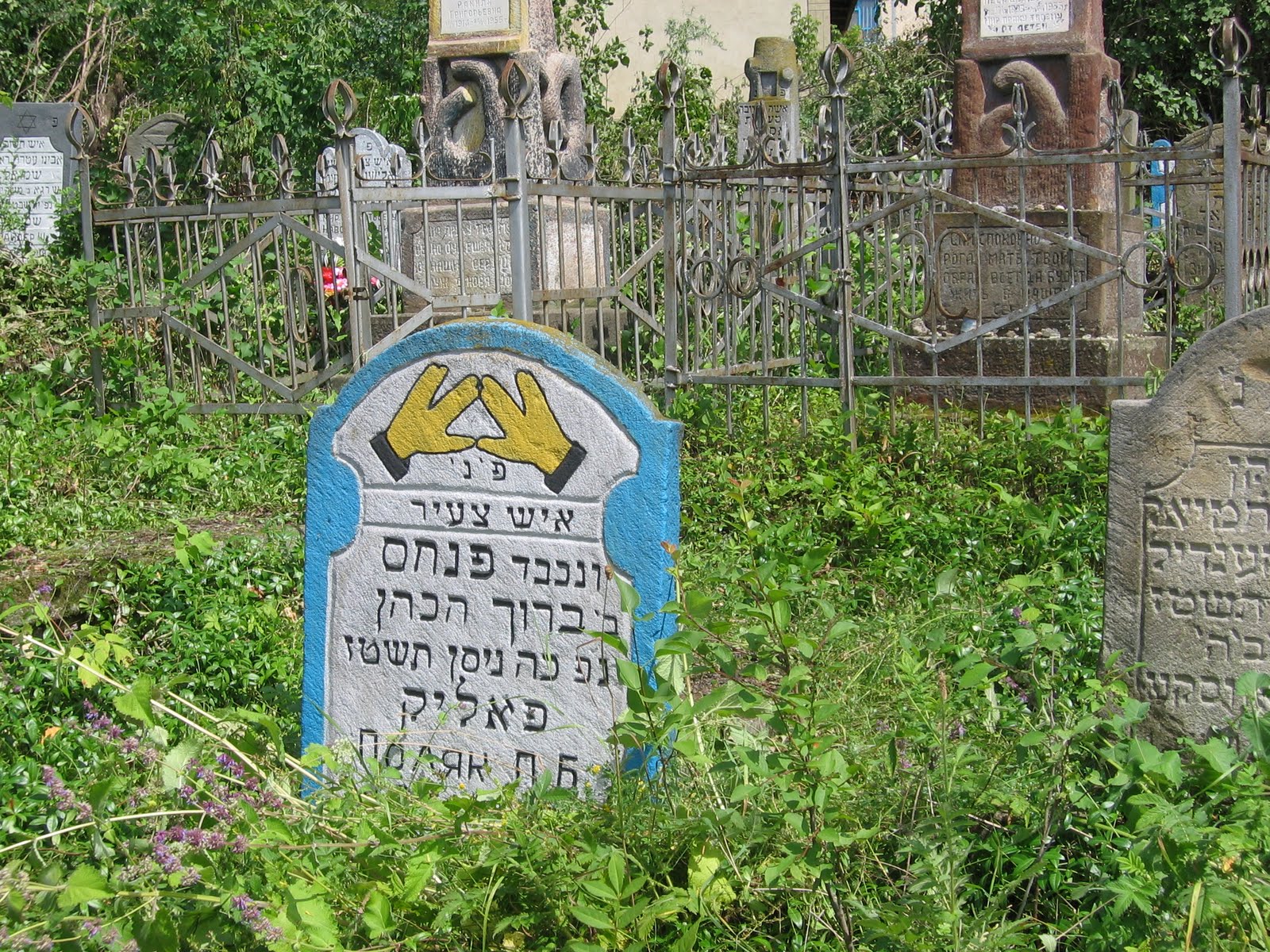 [IMG_1172.JPG]