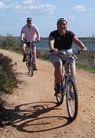 [bikes.jpg]