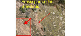 Zwei Girls kümmern sich um seine Monstergurke Zwei Girls kümmern sich um seine Monstergurke