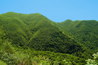 Trekking nel Parco Nazionale del Cilento e del Vallo di Diano