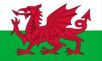 Welsh National Flag