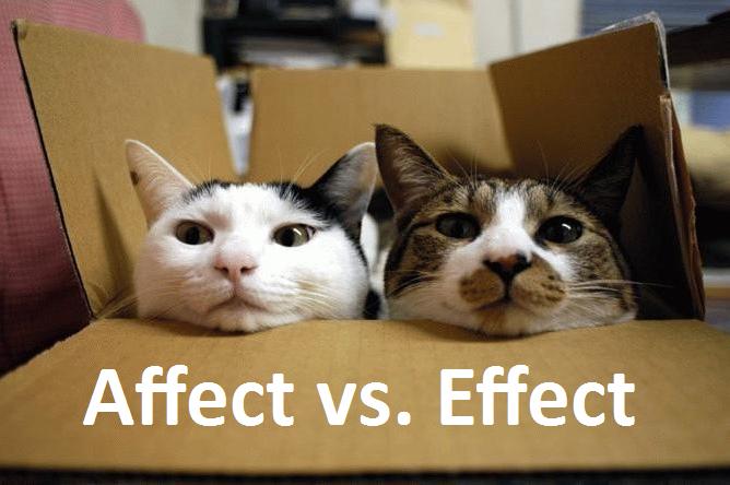 Effect And Affect