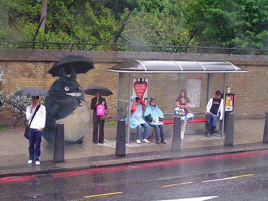 Bus Stop Rain