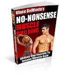 NO NONSENSE MUSCLE BUILDING-LOSE FAT GAIN MUSCLE