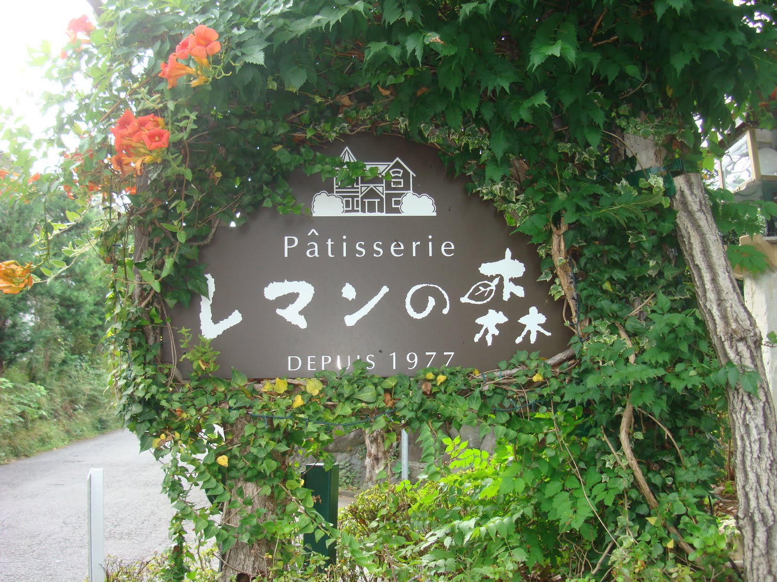 しらなみ便り 伊豆高原でケーキ