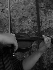 Mi violin y mis manos...