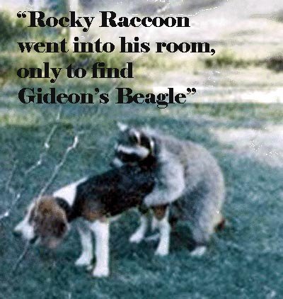 [rocky+raccoon.jpg]