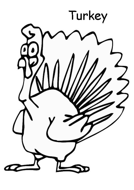 Animales domésticos para colorear