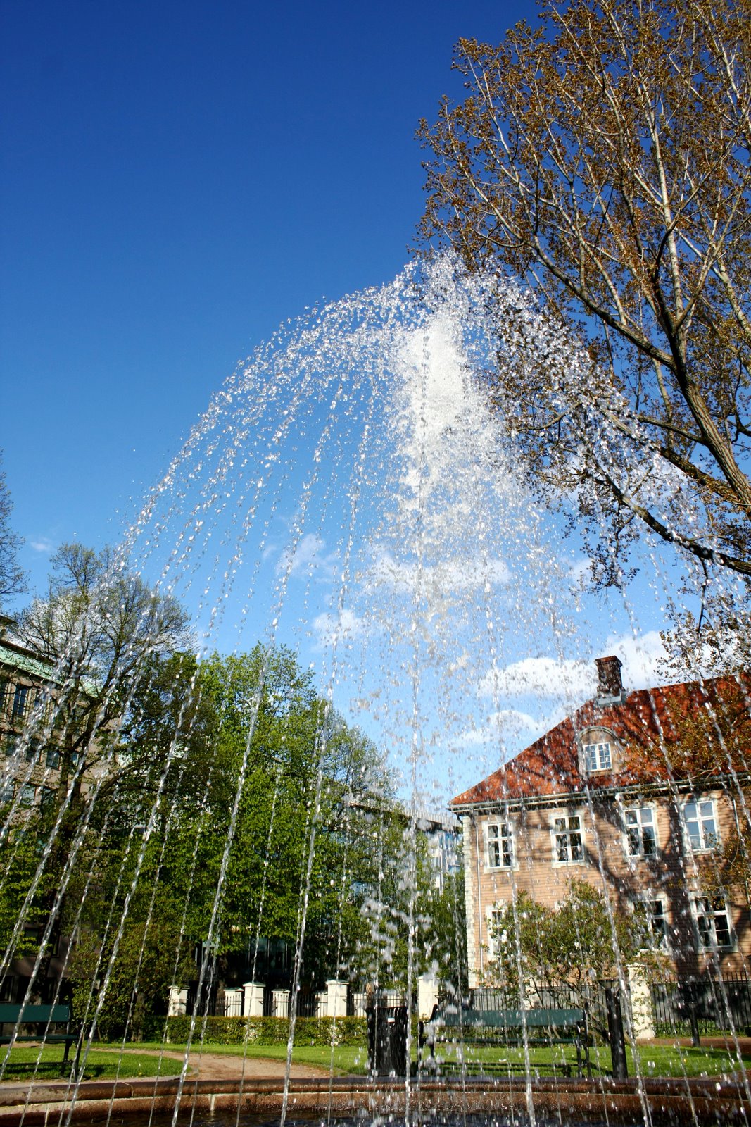 [IMG_6003.JPG]
