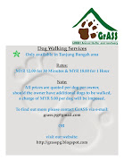 Dog Walking Services